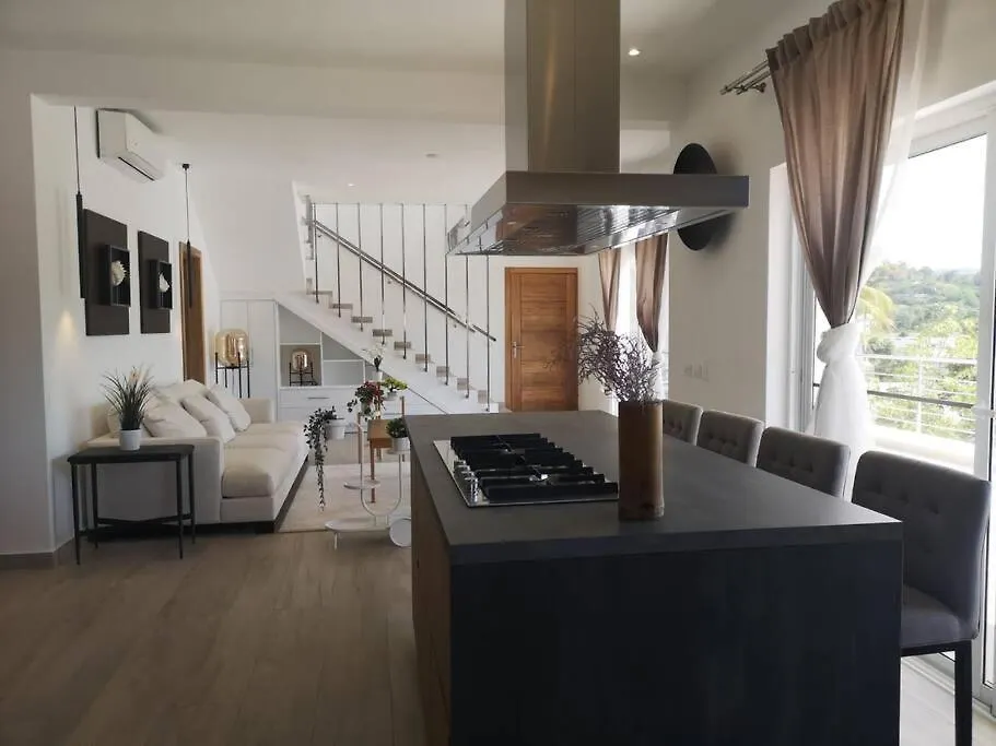 Fabulous Seaview P-House Pooljacuzziwifi Puntapopy Villa El Limon Dominicaanse Republiek